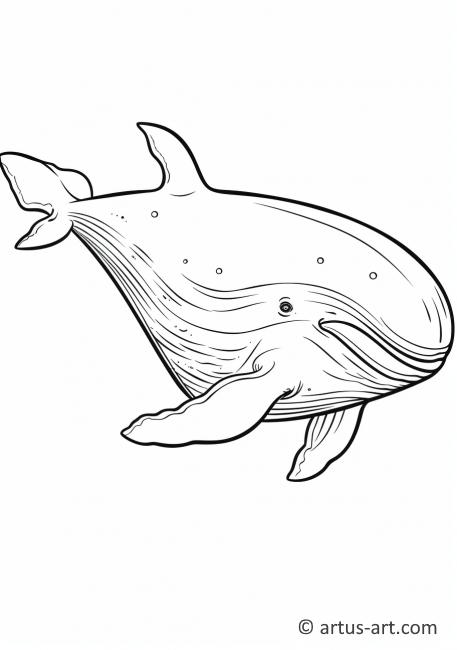 Cute Blue Whale Coloring Page